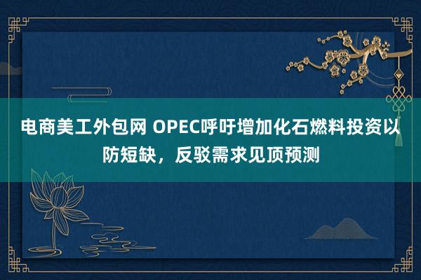 电商美工外包网 OPEC呼吁增加化石燃料投资以防短缺，反驳需求见顶预测