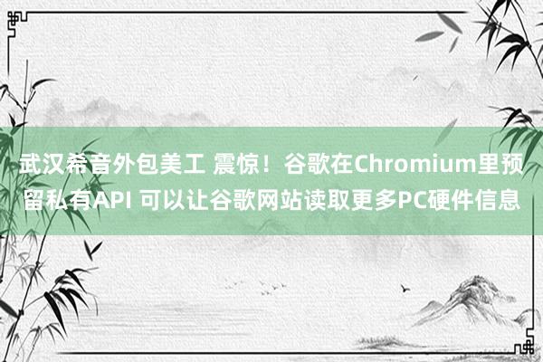 武汉希音外包美工 震惊！谷歌在Chromium里预留私有API 可以让谷歌网站读取更多PC硬件信息