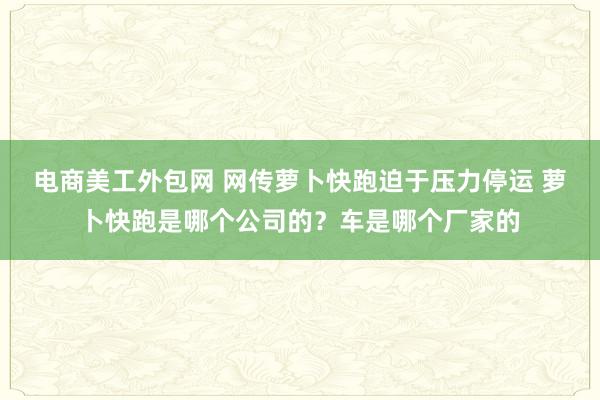 电商美工外包网 网传萝卜快跑迫于压力停运 萝卜快跑是哪个公司的？车是哪个厂家的